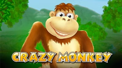CRAZY MONKEY